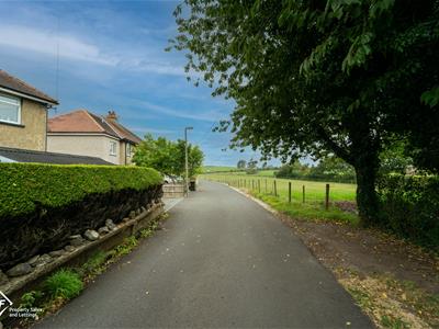 Picture 26